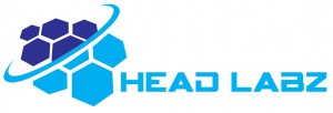 HEAD LABZ